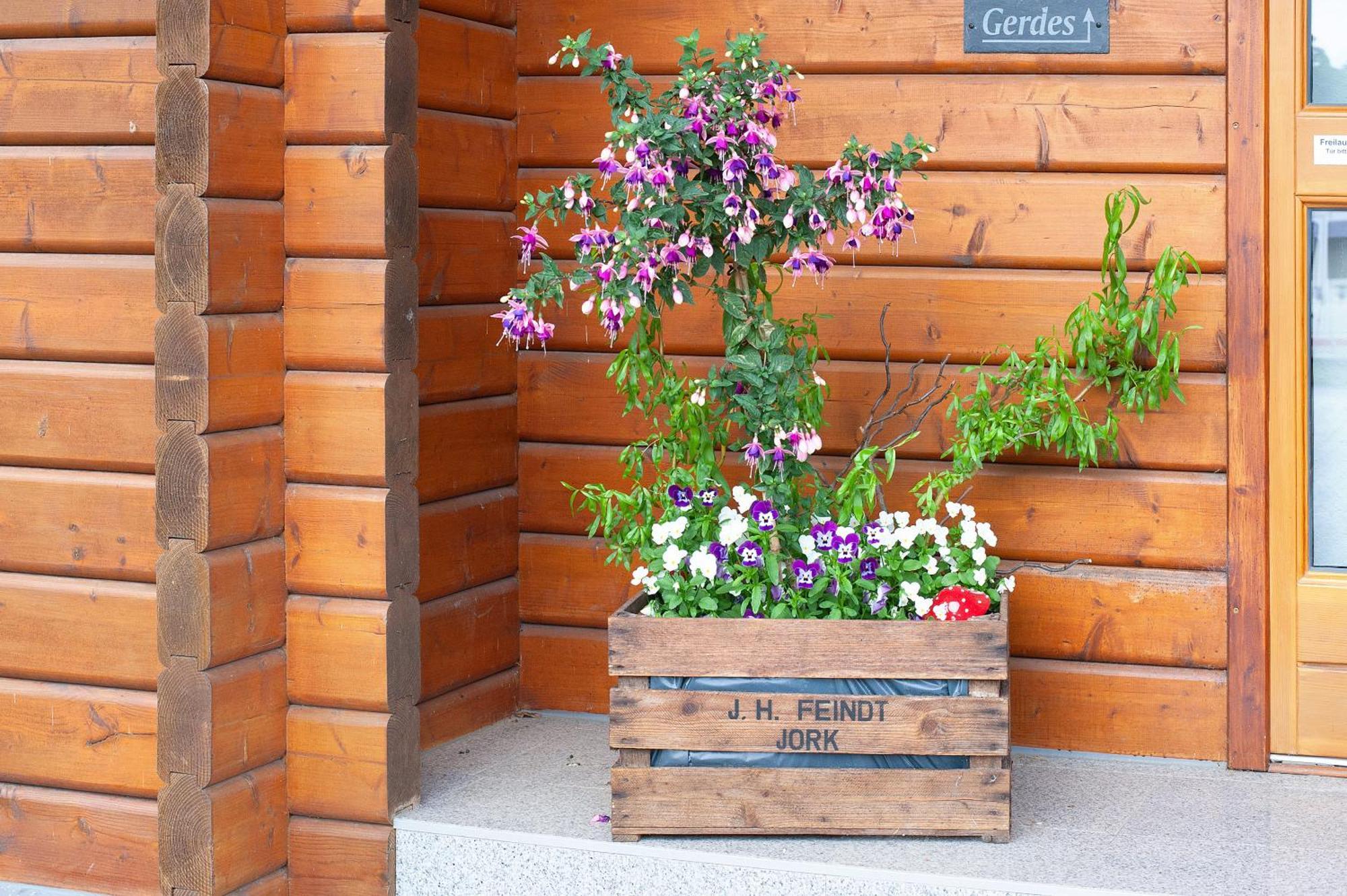 Entenhaus Hilgendorf Kültér fotó