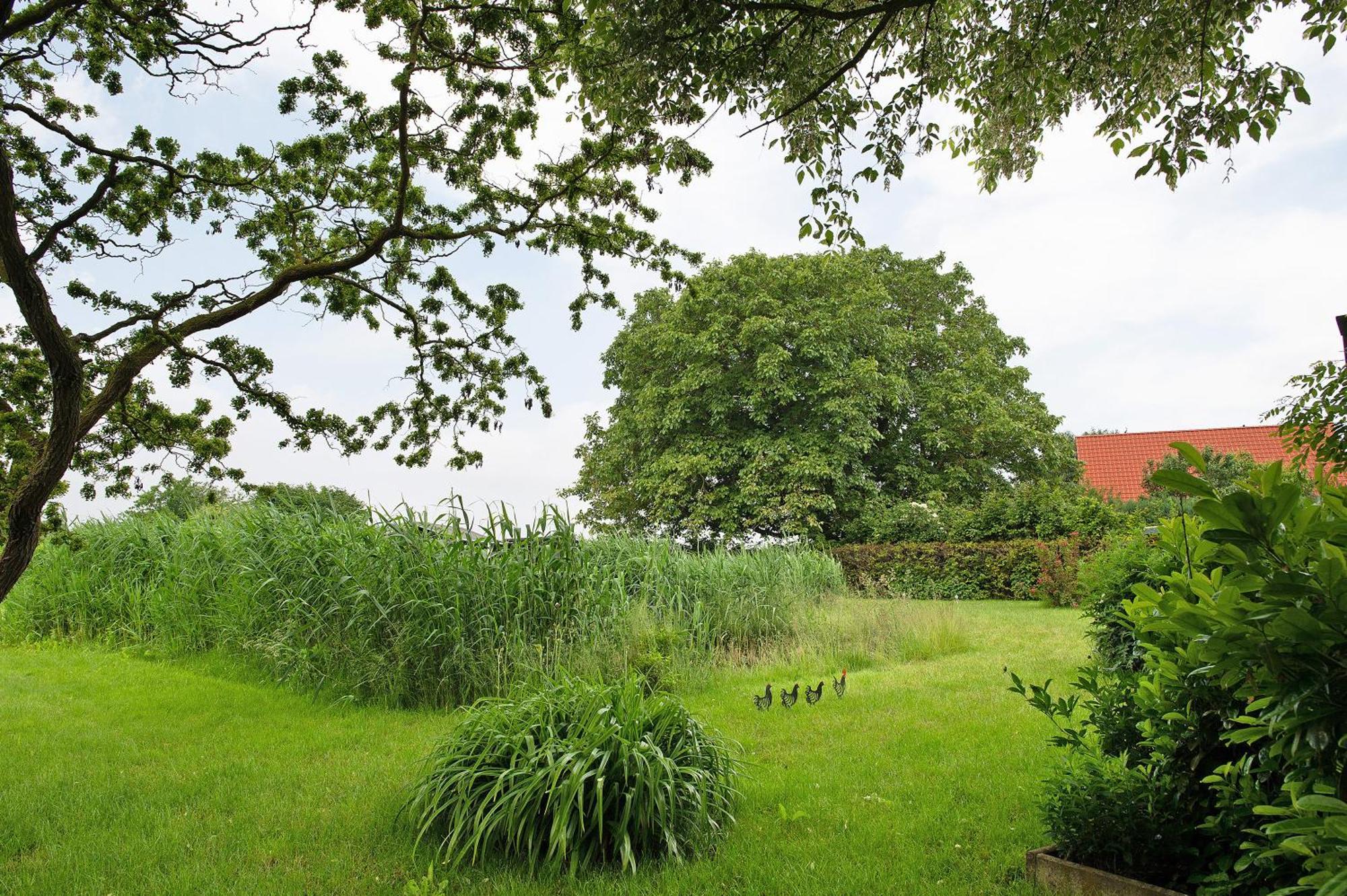 Entenhaus Hilgendorf Kültér fotó